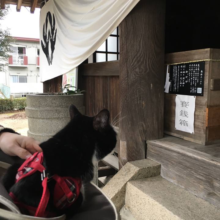 532effa6 a08f 461e b835 5c37f04bec7d