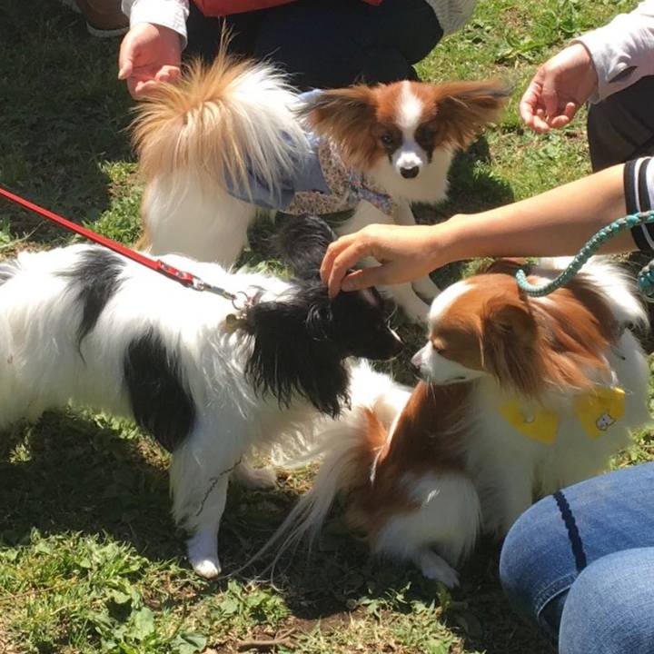 532f936f 17e7 4ef4 8227 ad7cee4039e9