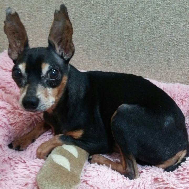 532ffa91 477c 4100 9595 52e3d46de5d6