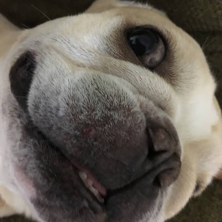 5330265d da01 40cf b676 dc982393f7b5