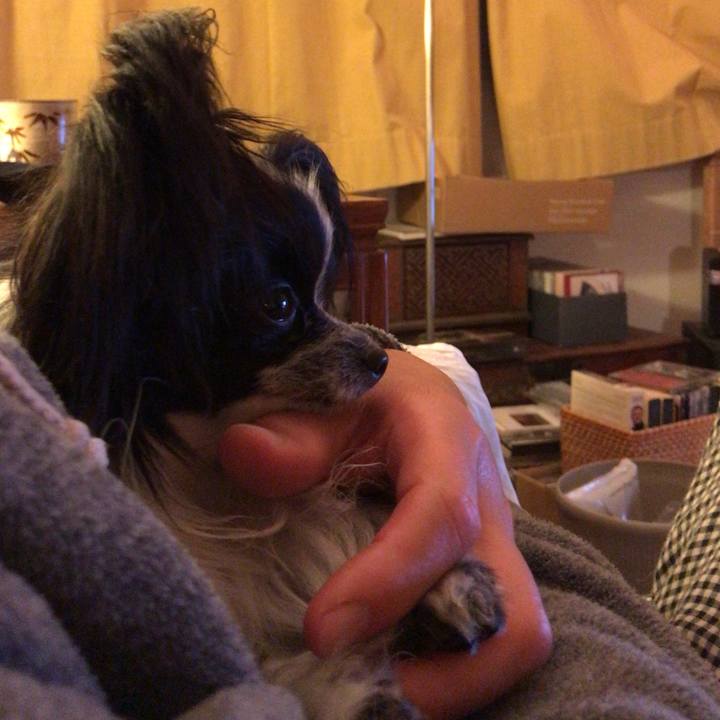 533143f1 ff04 4ead 9c57 8b4667afdd6f