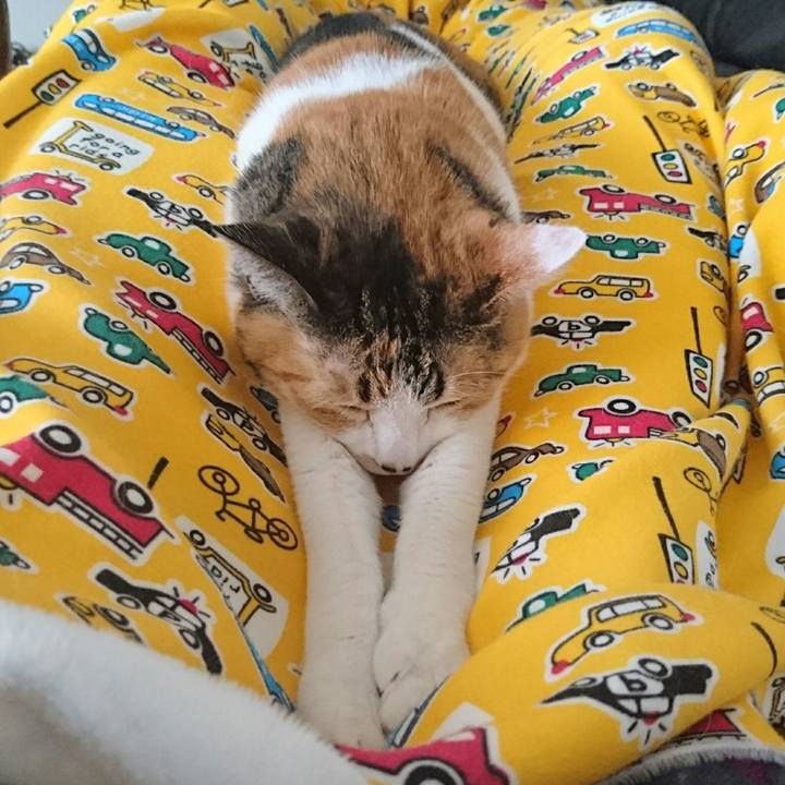 53314cd3 f1fb 4526 a941 1e2dad87940b