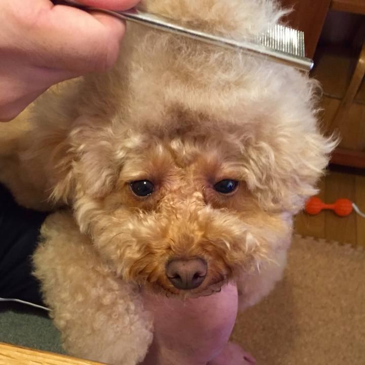 5331d06c c12f 4a17 9f28 66cd39dd72fa