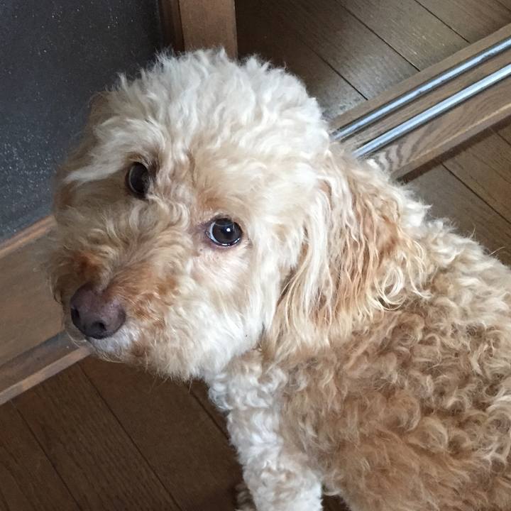 533202f3 5098 4df7 91b2 f574594aa857