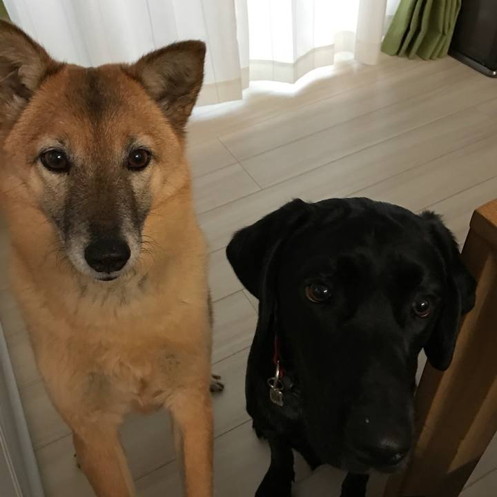 53324ece 4414 4768 80e7 35963c370f63