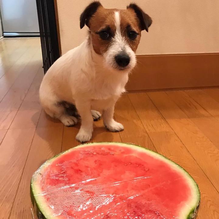 53325aa8 1336 41f3 9d01 b8fb694368fd