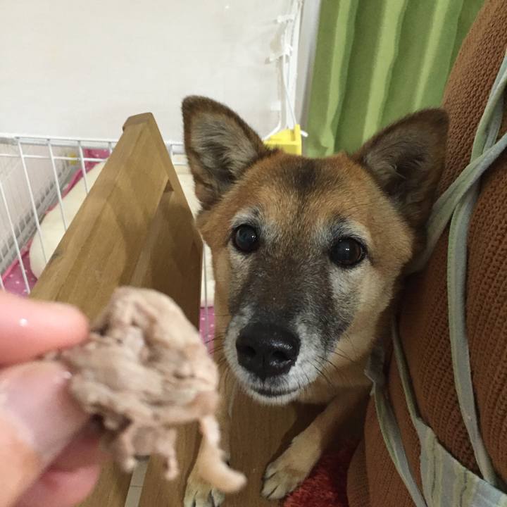 53327059 0906 4dfd a5dd 586d38e7391f