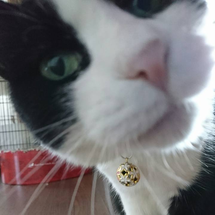 53327762 dc23 44eb a2fc e812266f45ec