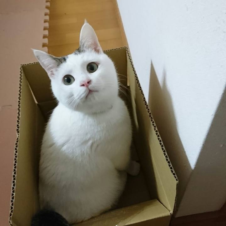 53331aad c7f4 441b b93f 9a7af85965c6