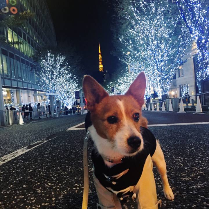 5333d14b b081 485d 90f6 37c3cb098855