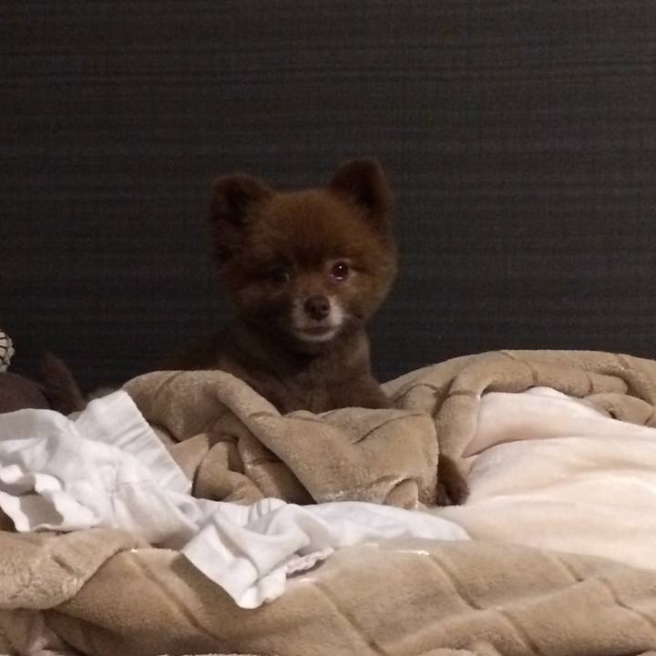 5333e977 9a73 4944 8f49 e7fcd3b867c3