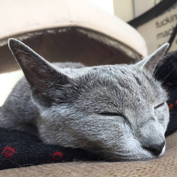 5334f09a 9c64 49b2 855f 55ffd12cbf75