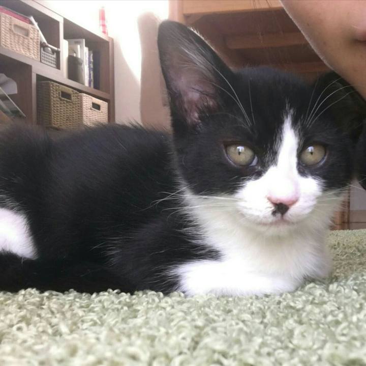 5335505b 87ca 462c 8fa6 5f4bad6e68e0