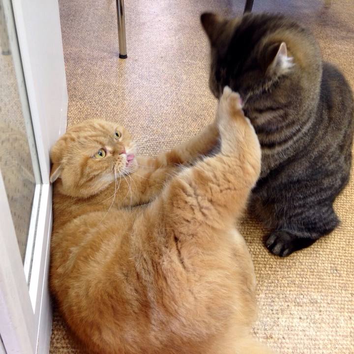 53357707 1ac6 4260 afca 75975eb3211a