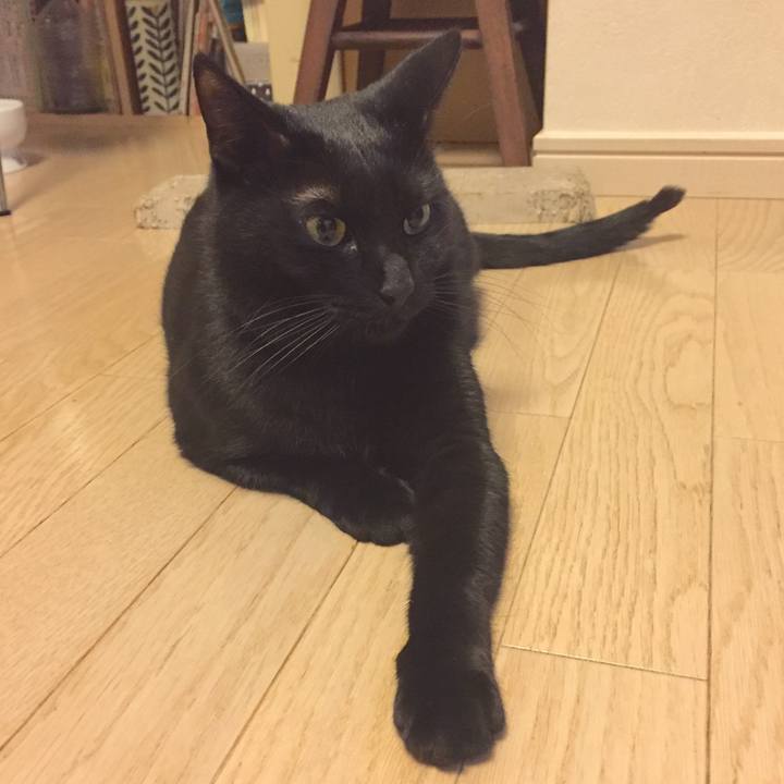 53357d47 f7e1 4352 b2ee d9c1680723a2