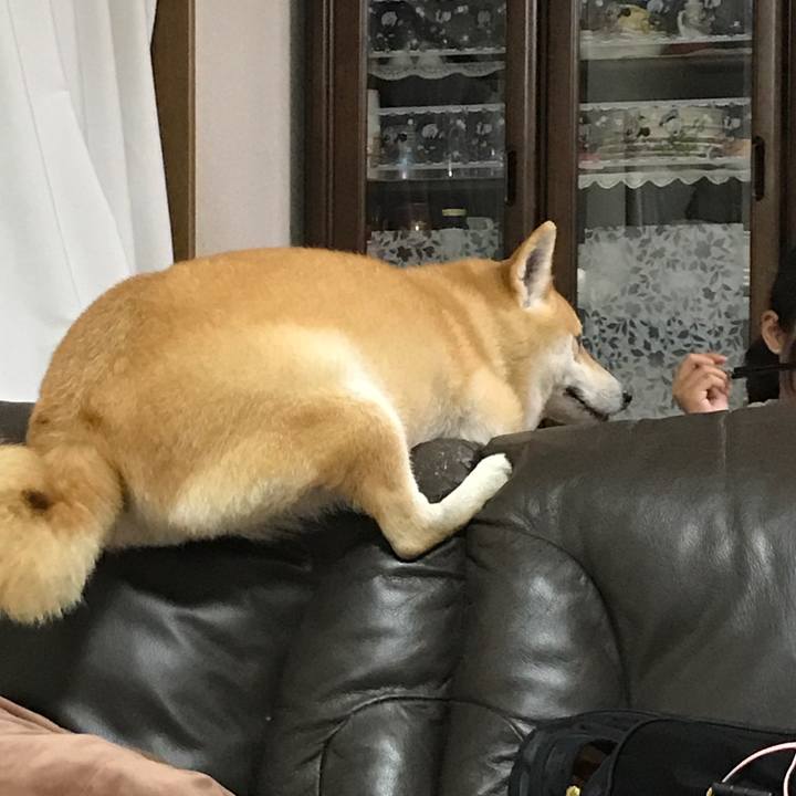 5336205e 070c 400f a70b d79b243670c1