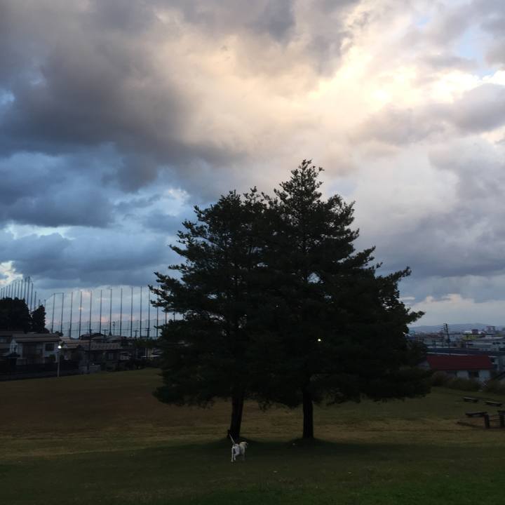 5336b151 7e4f 4e44 9c39 1e08fc3ff763