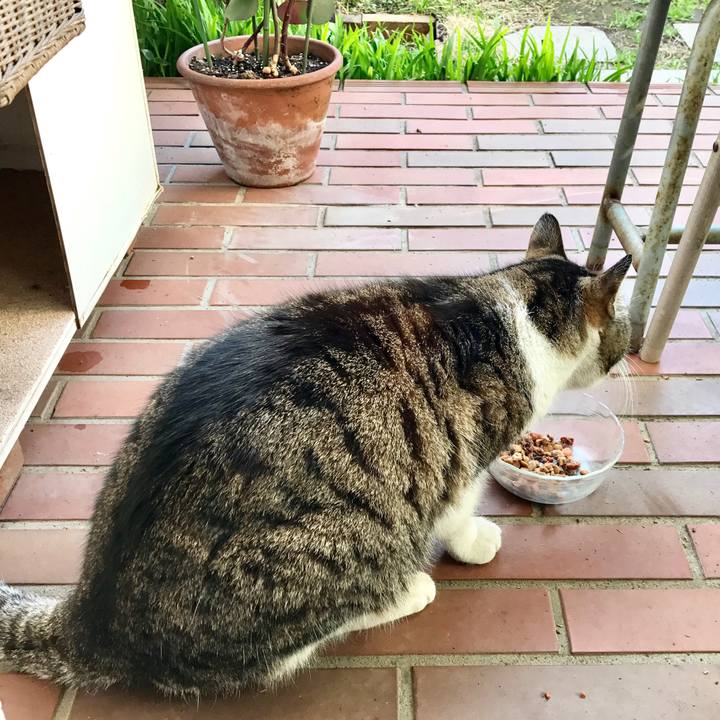 5336b59a 912e 4c93 8d43 199831f74be0