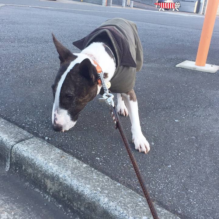 5336ce51 9877 4cc4 8713 b344f63b6cd0