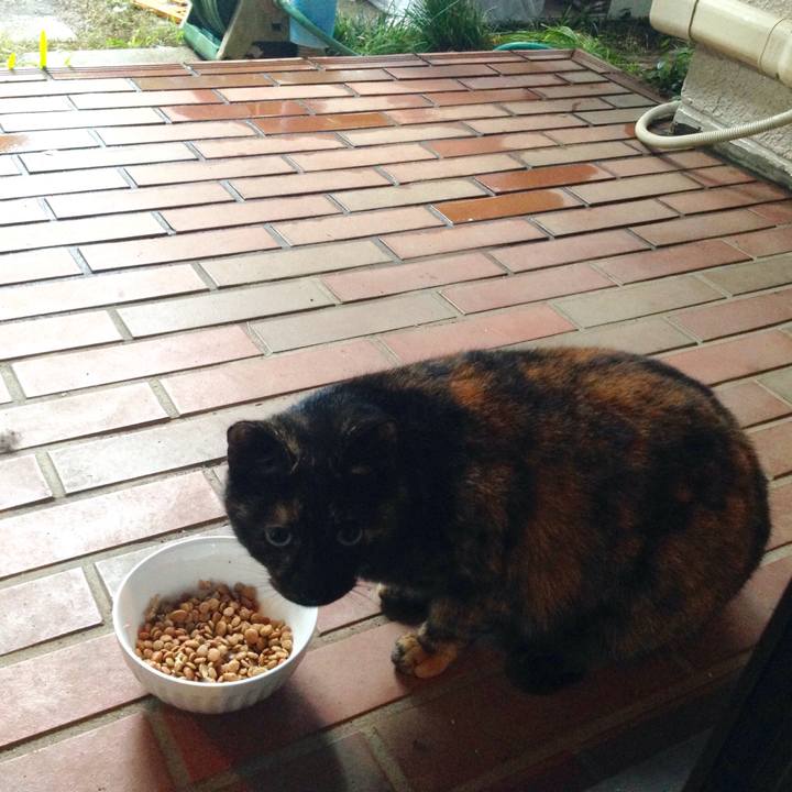 533706aa 2874 4b46 8297 4705929af0ea