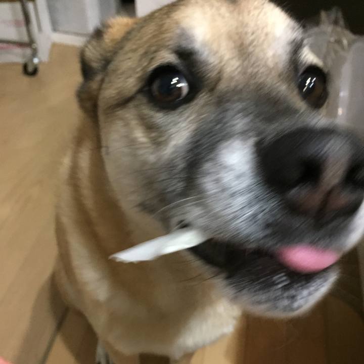 5337506b b7ee 4397 b92a b71c0e7d560d