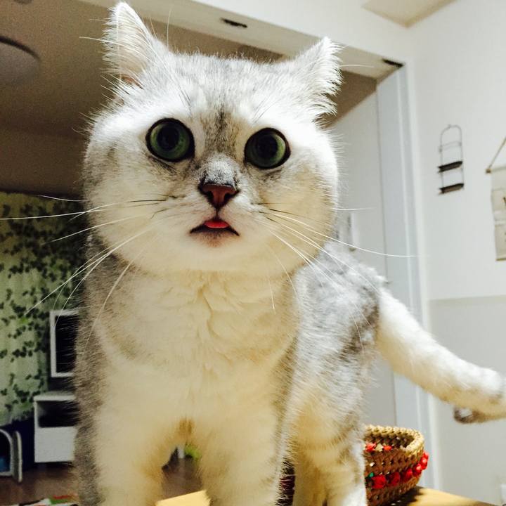 5337ac7e 4cb0 4a6a b8cc 8f2e0c03bc27