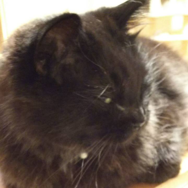 53384170 af82 4a6b 8de3 9520f11b0e1c