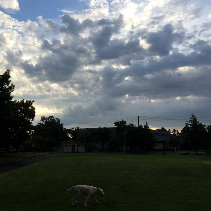 533850a2 9a92 4442 a6ba 276a7c10ef8e