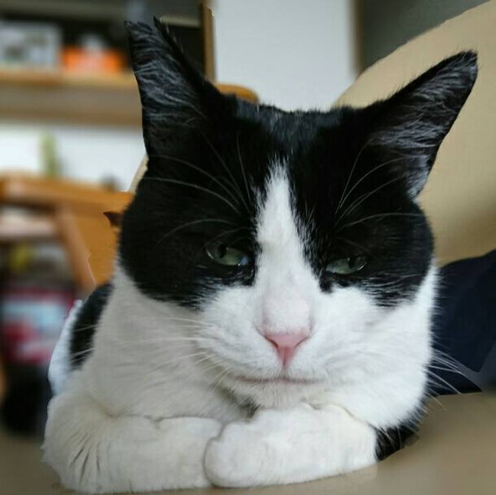 533888c1 553b 425c 95fb 3e9e496cc646