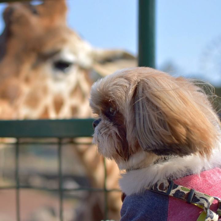 53389a77 3c37 4c47 93d6 c87a65a9f536