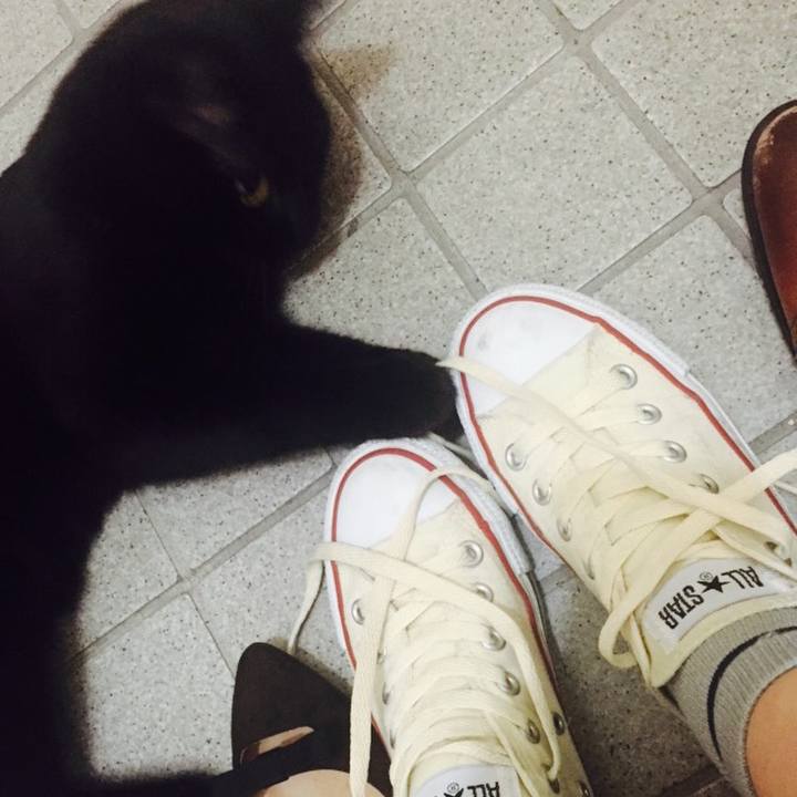 5338d7a0 288c 467c b3ba f7cd921f8306