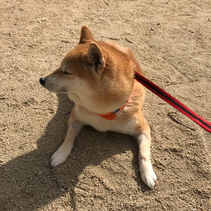 5338ffb9 5843 4d81 86b9 c7078c0235af