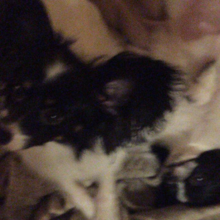 53392400 d295 45d9 8ddb 16503fde0184