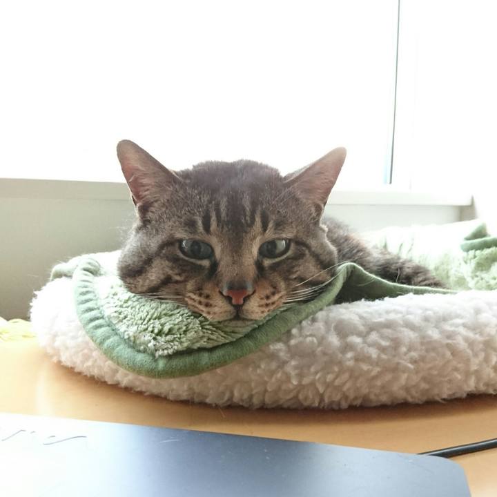 5339cbb4 e045 40bc b014 04d2178d9be5