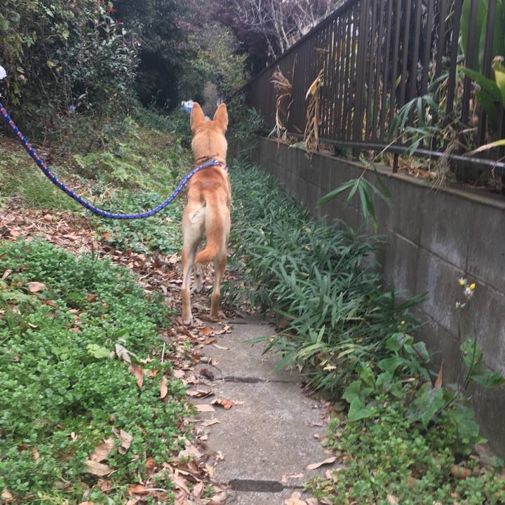 5339f2ad 6881 4ef5 8f3c df4aa8cfcee0