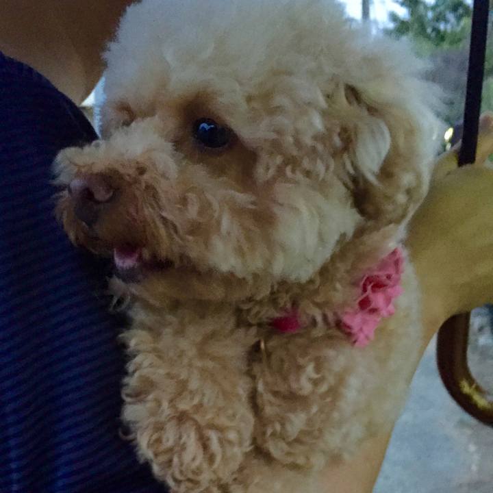 533a0abf f4f9 4d7e 8ab0 c2d5d2695b23