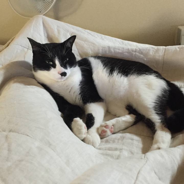 533a516d 1ccb 46b2 8891 b6cf2f2dec88