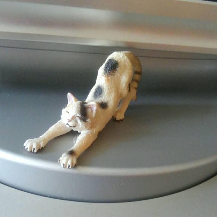 533a7305 5786 48bd 8d0b aad17b8b5556