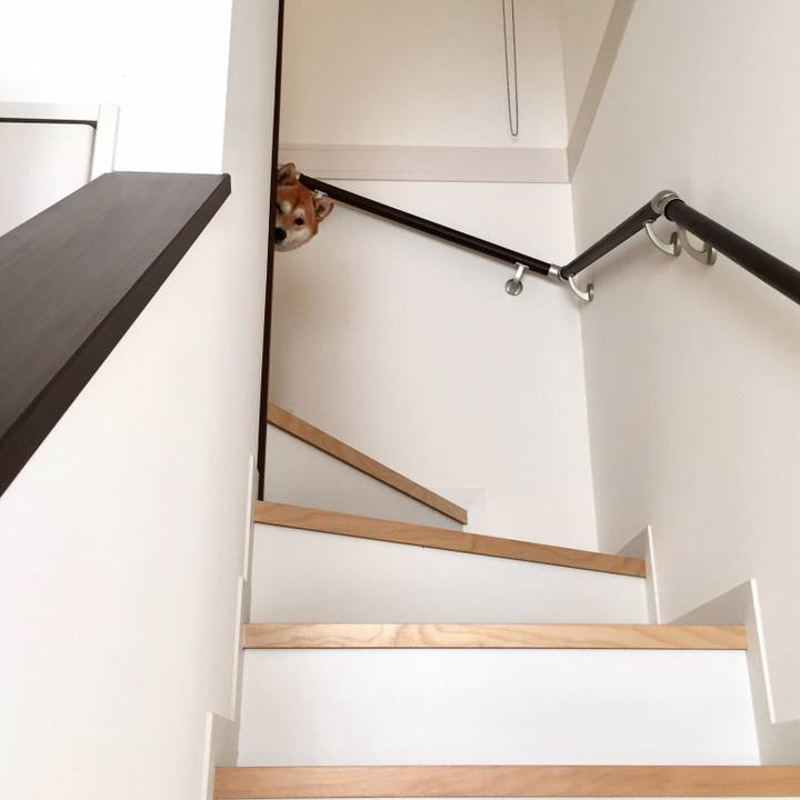 533afafe fa0b 4908 8c6e 87ed6970549e