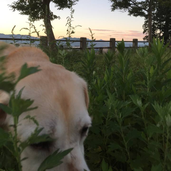 533c144d 39c4 48ba 99dd cdaab6b56de5