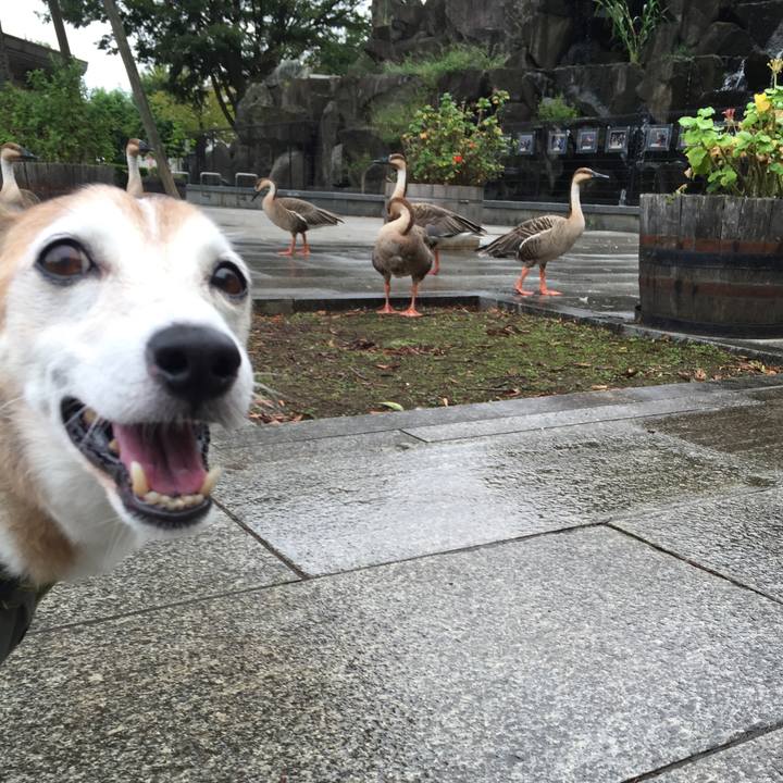 533c2216 9c34 44a8 a045 daae78edc3cf