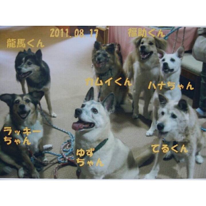 533c8520 1c43 43fc a8e2 f97179db144d