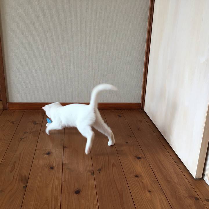 533cf2fa 79db 4bf4 8645 1a5746326648