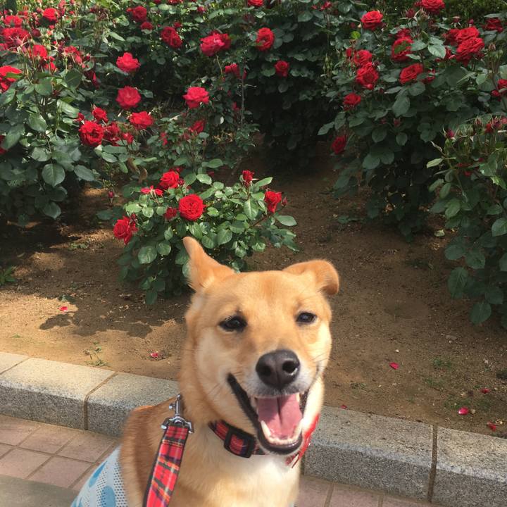 533cfef6 6bf1 4fa0 a2a1 04b58ca0bf45