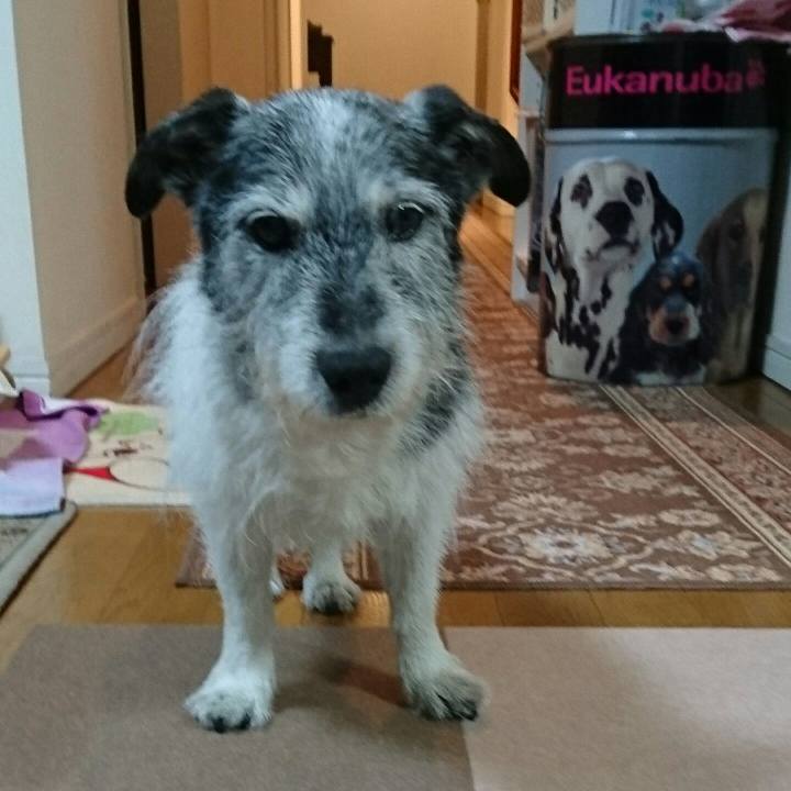 533d019c bbb3 462b b515 fe635bd284dd