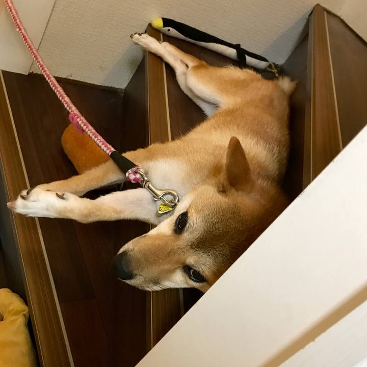 533e8563 150b 49b5 9c60 ef98054a6d75