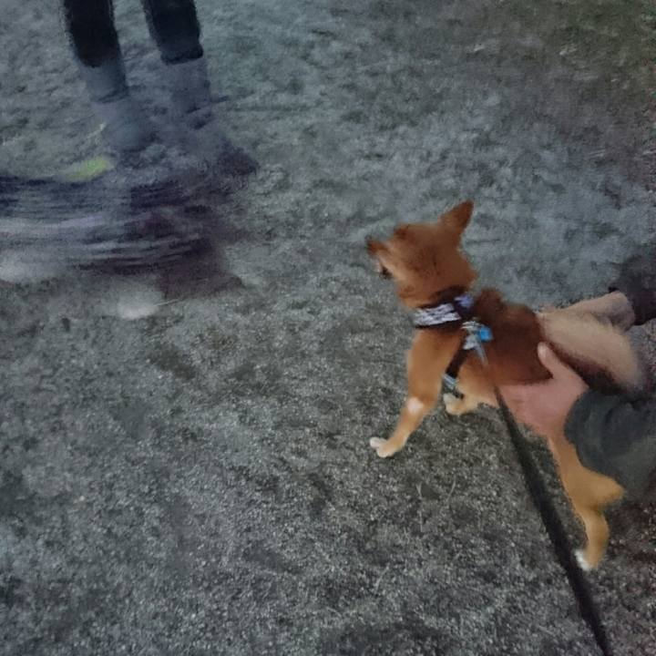 533e8ac3 1005 4474 8350 284615bb6f2d