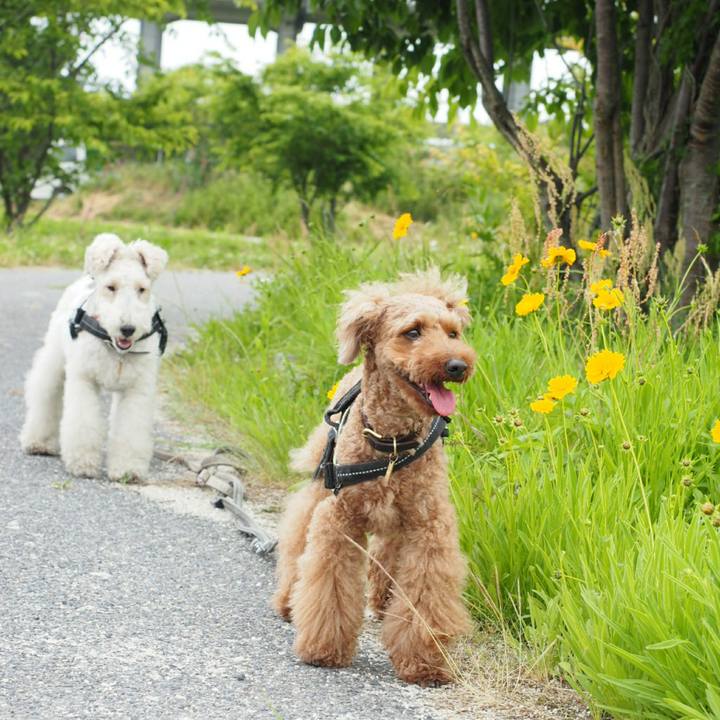 533ea71d 79d1 4b82 b15b 617ee3b2a326