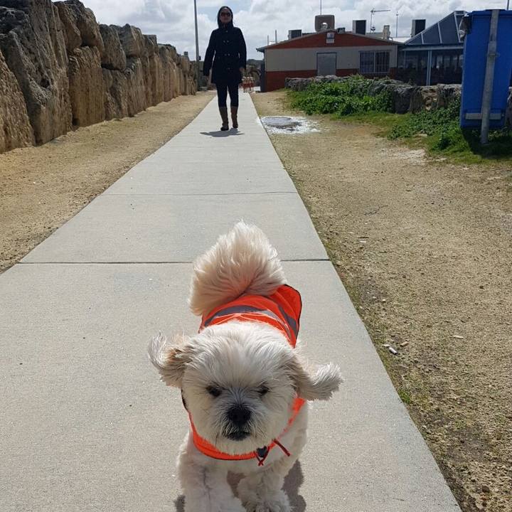 533ed3c8 d212 4400 9094 17bc18b073da