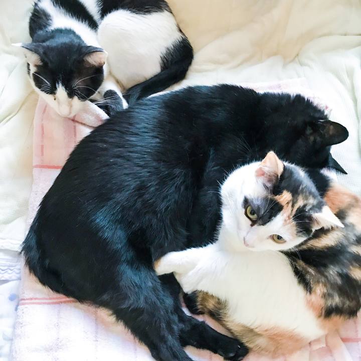 53401bcc eb93 4d1f 99b7 12ca5bd2d427